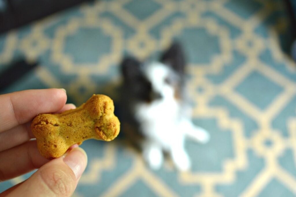 This recipe is SO EASY and so simple it'll make your head spin. With only a few ingredients that cost next to nothing, like a carrot and an apple, these homemade peanut butter dog treats will easily become a staple goodie to give your dog. Plus, they'll absolutely devour these chewy, baked biscuits!