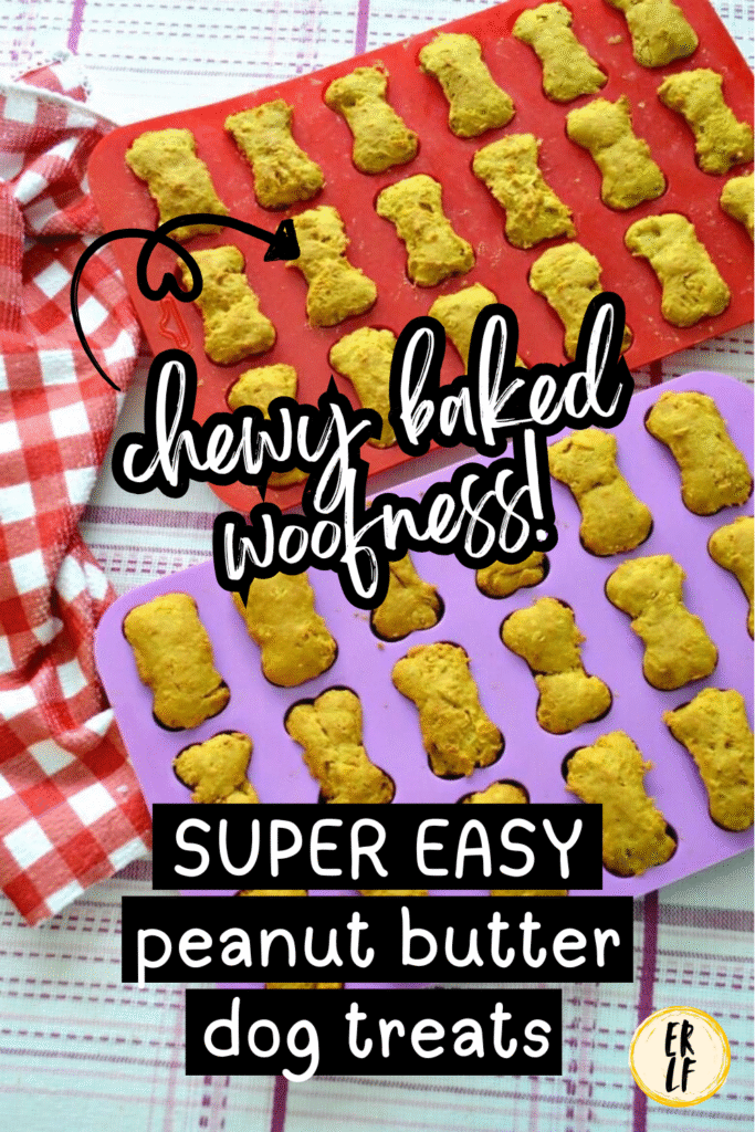 This recipe is SO EASY and so simple it'll make your head spin. With only a few ingredients that cost next to nothing, like a carrot and an apple, these homemade peanut butter dog treats will easily become a staple goodie to give your dog. Plus, they'll absolutely devour these chewy, baked biscuits!