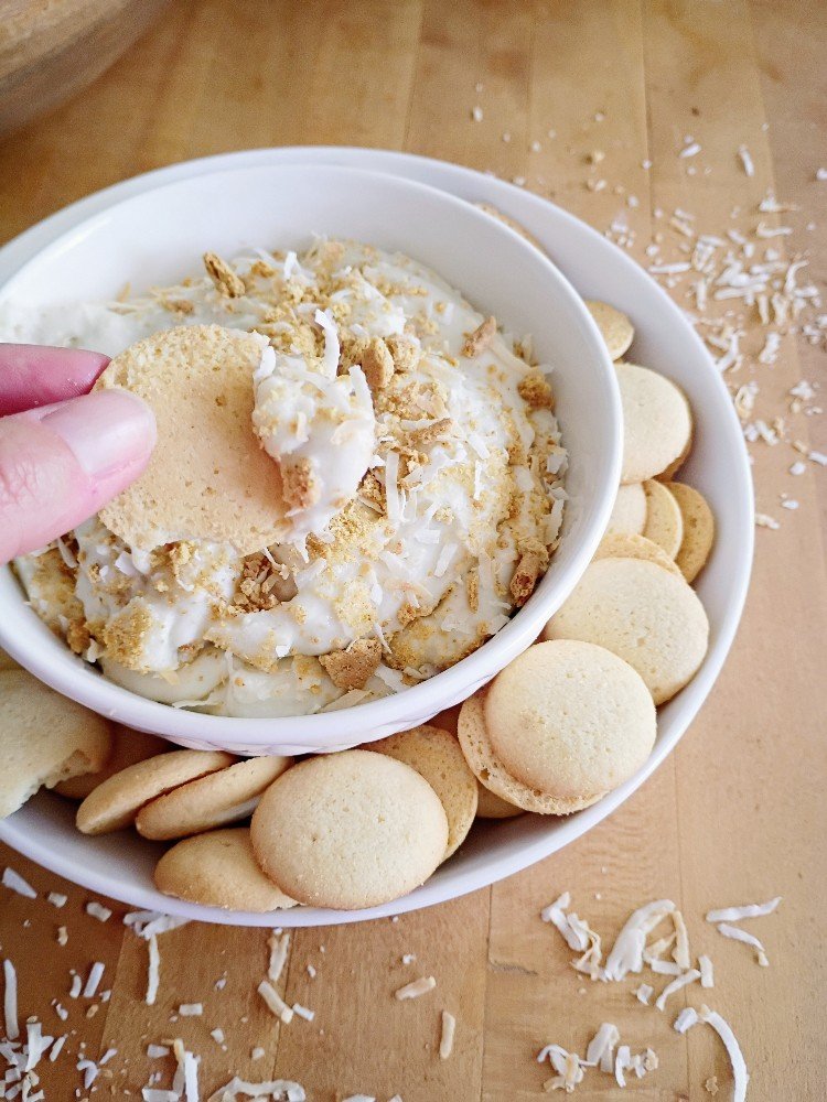 It's light, fresh and creamy - this homemade toasted coconut pudding dip recipe is one for the books. 