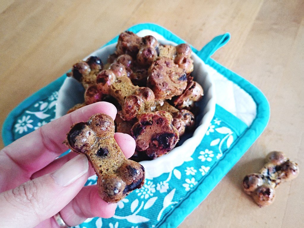 Chewy Blueberry Bone Broth Dog Treats
