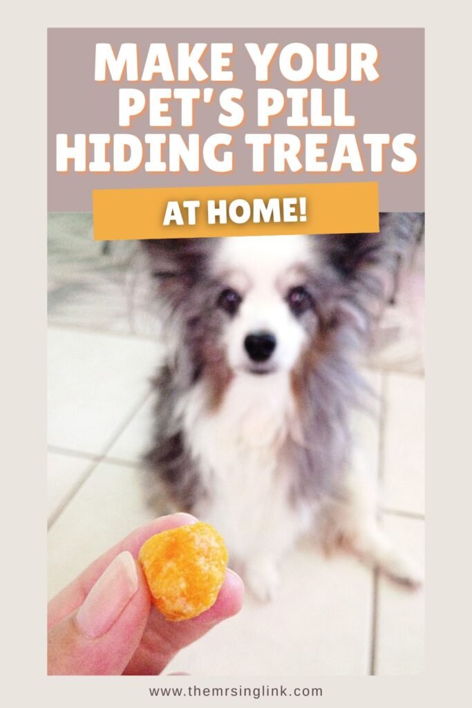 You don't need to buy those special pill hiding treats from the store - you can make a pumpkin dog treat for your pet's medication at home!